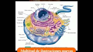 THIBODEAU Estructura y función del cuerpo humano 14ª ed [upl. by Suzetta779]