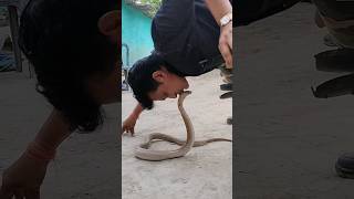 virals यूट्यूब पर पहली बार ऐसा वीडियो 🙏please subscribe 🙏snakes shortfeed ytshorts [upl. by Buff802]