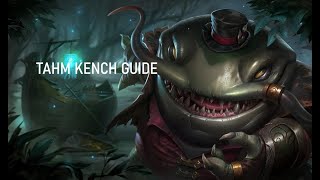 Focus sur Tahm Kench [upl. by Oinegue835]