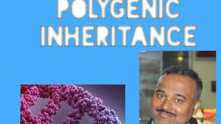 POLYGENIC INHERITANCE [upl. by Tennies]