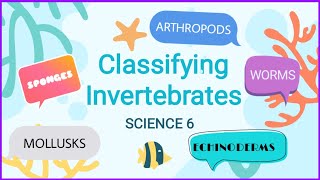 Science 6 Quarter 2 Classification of Invertebrates [upl. by Tabbatha]