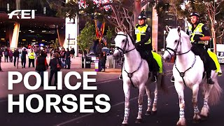 How Police Horses work and live  Equestrian World [upl. by Otis]