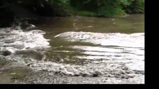 A surge in Penpol Creek Crantock Newquay Cornwall UK [upl. by Pomona]