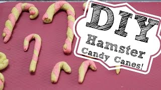 DIY HAMSTER CANDY CANES [upl. by Dickinson]