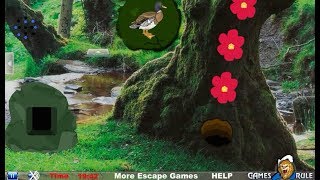 Temperate Rainforest Escape walkthrough Games2Rule [upl. by Burack]