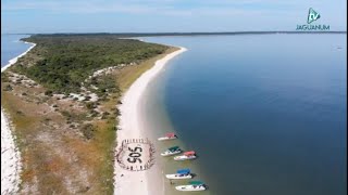 Restinga da Marambaia  Ação Sócio Ambiental [upl. by Ymarej]