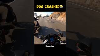 Omg 😰Dog🐕 crashed😭 shorts ytshorts viralshort viralreels viralvideos rider ayteach motovlog [upl. by Oicinoid689]