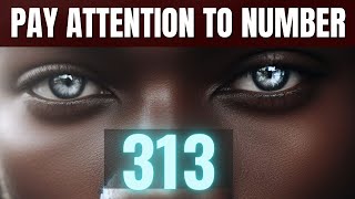 Why Youre Seeing 313  Angel Number 313 Meaning Love  Twin Flame Bible Verse [upl. by Itsuj]