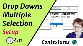 Data Validation Multiple Selection Setup [upl. by Gundry814]