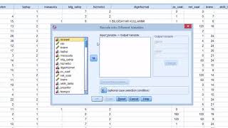 SPSS Verileri Yeniden Kodlama [upl. by Edlin]