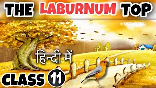 The Laburnum Top Class 11  Detailed Explaination  Hornbill [upl. by Atteuqnas]