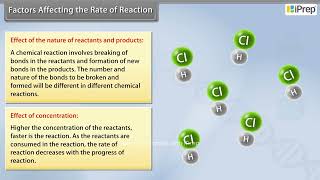 Factors Influencing The Rate of Reaction  Chemical Kinetics  Chemistry  Class 12th  iPrep [upl. by Nitneuq568]