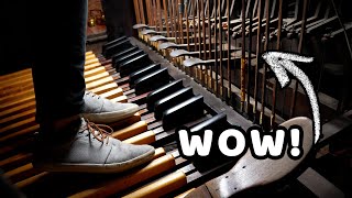 Legendary Organ at Old St Patricks Cathedral in New York City  Organ Demonstration  Paul Fey [upl. by Anale784]