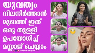 യുവത്വം നിലനിർത്താൻ മുഖത്ത് ഇത് ഒരു തുള്ളി ഉപയോഗിച്ച് മസ്സാജ് ചെയ്യാം  Anti Aging Skin Care [upl. by Normak]