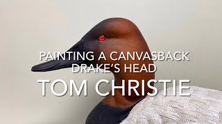 Painting a Canvasback Drake’s Head [upl. by Ijar]