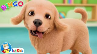 BINGO  Nursery Rhymes amp Kids Songs  IshKids  Version 2 [upl. by Kermit]