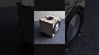 Amazing 275 inch DIY speaker excursion [upl. by Eedna]