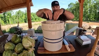 How to Make Probiotic Pickled Cabbage at Home only 2 ingredients [upl. by Mattson]