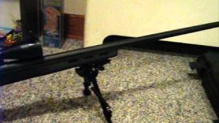 Remington 700 SPS Varmint 308 Long Range Weapon System [upl. by Anuahsed]