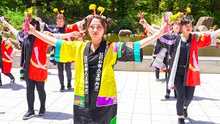 4K 100人よさこい 大阪メチャハピー祭in梅田スカイビル 2024 中央 [upl. by Issim]