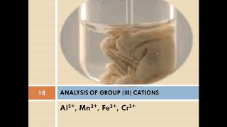 Separation of Group III Cations Part III [upl. by Avirt161]