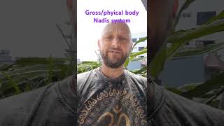 Nadis systems nadis energy energyhealing nadischannels energywork yogahealing healing [upl. by Sew243]