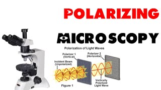 Polarizing microscopy [upl. by Susumu]