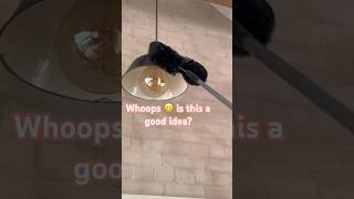 How To Clean High Up Light Fittings Without A Ladder  Clean With Kate cleaningtips cleaninghacks [upl. by Sivrad783]