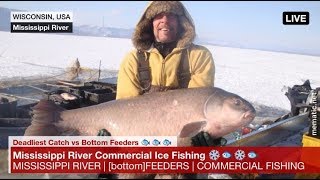 Mississippi Commercial Ice Fishing where quotBottom Feedersquot meets quotDeadliest Catchquot [upl. by Wiskind659]