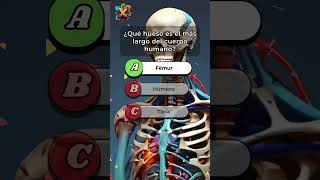 ¿Puedes Aciertar Este Quiz Rápido ⏰ Comenta Tus Respuestas 🧠✅quiz trivia quiztime anatomia [upl. by Ymmas]