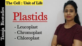 Cell The Unit of LifeEndomembrane System  Plastids  Chloroplast Chromoplast amp Leucoplast  NEET [upl. by Eenahc]