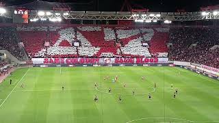 Olympiacos Vs Rangers 11 Coreo SAME COLOUR SAME BLOOD 🔴⚪ [upl. by Redla]