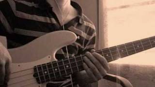 Louise Attaque  Amours Bass Cover [upl. by Werra416]