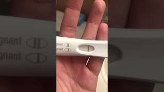 POSITIVE FIRST RESPONSE PREGNANCY TEST10 DAYS DPO [upl. by Corin35]