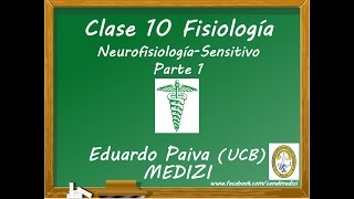 Clase 10 Fisiología  Neurofisiología Sensitivo 1 IGdoctorpaiva [upl. by Jenine346]