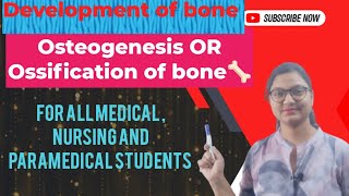 development of boneOsteogenesis or ossification of bone types of ossification [upl. by Nylesoy]