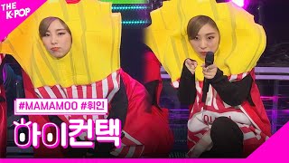 MAMAMOO 쟤가 걔야 Waggy 휘인 포커스 하이 컨택 THE SHOW 190319 [upl. by Alleusnoc]