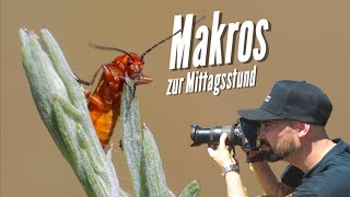 Makrofotografie Makros zur Mittagsstund [upl. by Biernat]