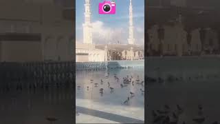 Technical makkah ytshorts viralvideo [upl. by Robi]