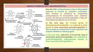 Biosynthesis of Chlorophyll IV  Dr Rohitashv Choudhary  Botany  M Sc Final [upl. by Salesin666]