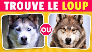 Devine le Vrai Animal 🐼🧐🐻‍❄️  Différencie et reconnais les animaux  ✅ [upl. by Lean85]