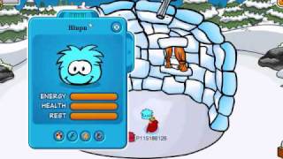 CPCheaterZXHow to change the name of your Puffle [upl. by Thury160]