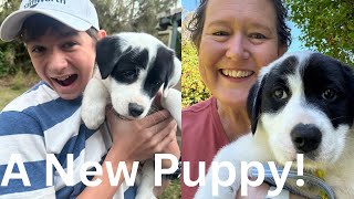 We Got a Puppy [upl. by Wade]