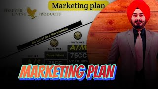 New Forever Marketing Plan 2024  FLP Marketing Plan  FLP  LADDI SINGH  TEAM FIRE 64 [upl. by Leagiba]