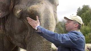 Bowmanville Zoo elephant remembered [upl. by Nafis]