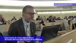 Intervención Carlos Alberto Baena en el Séptimo Foro de la ONU sobre minorías [upl. by Keir]