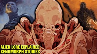 ALIEN LORE FOR 1 HOUR  XENOMORPH HISTORY AND ORIGINS  ENGINEERS  ALIENS PROMETHEUS HIDDEN SEQUEL [upl. by Eilyab]