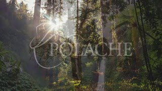 POLACHE  CORTALA [upl. by Alberta]