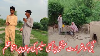 Saleem Ki Jaan Pr Itna Zulam  Bagi Ko Shararat Mehangi Pr Gie Village Life BagisVillagelife [upl. by Desma]