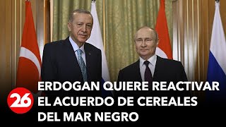 Erdogan instará a Putin a reactivar el corredor de cereales del mar Negro [upl. by Ttegirb966]